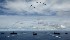 О натовских учениях «Sea Shield-2019» в Черном море